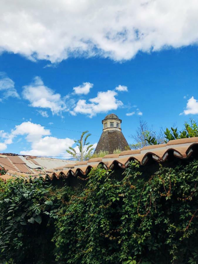 Hotel Lo De Bernal Antigua Εξωτερικό φωτογραφία